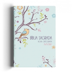 Bíblia NVI Letra Grande Especial - Um Tempo Especial com Deus Bíblia NVI Letra Grande Especial - Um Tempo Especial com Deus