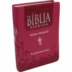 Bíblia Sagrada NTLH065TILGI | Letra Gigante | Rosa | Índice digital Bíblia Sagrada NTLH065TILGI | Letra Gigante | Rosa | Índice digital