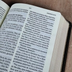 Bíblia ACF com letra grande