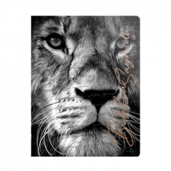 Biblia ARC Compacta letra normal Semi Luxo Promessas Divinas Biblia ARC Compacta letra normal Semi Luxo Promessas Divinas