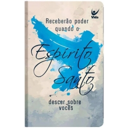 Bíblia NVI semi-Luxo Espírito Santo