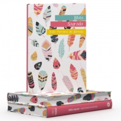 BÍBLIA – RC – LETRA GRANDE – SEMI LUXO – CORES BÍBLIA – RC – LETRA GRANDE – SEMI LUXO – CORES