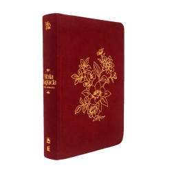 Bíblia Sagrada NVI - Bible Journaling - Capa Dura Vinho - Gabi Sauthier