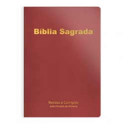 BIBLIA RC LETRA NORMAL SLIM - LUXO ROSE