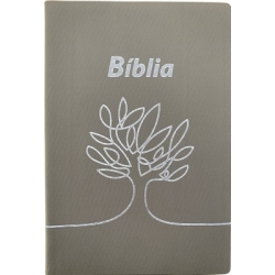 Bíblia com concordância e letra maior