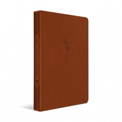 Bíblia Slim Filament | NVT | Letra Grande | Capa Couro Sintético Marrom