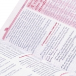 Bíblia Sagrada entre Meninas e Deus - Magnólia