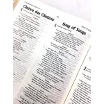 Bíblia NVI Bilíngue Português-Inglês - Capa Luxo Rosa