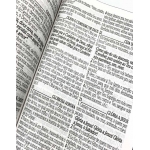 Bíblia Sagrada Letra Grande Harpa E Corinhos Leão Capa Dura