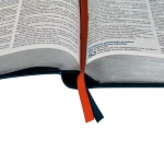 Bíblia do Jovem Pregador Pentecostal