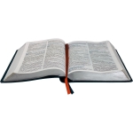 Bíblia do Jovem Pregador Pentecostal