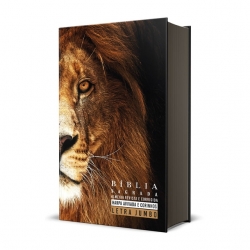 Bíblia Sagrada Letra Jumbo RC Harpa E Corinhos Grande Capa Dura Leão Dourado