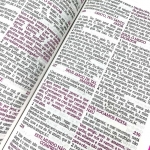 BIBLIA DE ESTUDO DA MULHER SABIA - JARDIM MARGARIDAS