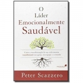 O líder emocionalmente saudável: Como a transformação de sua vida interior igreja, sua equipe e o mundo