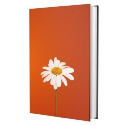 Biblia Sagrada Nvi - Margarida