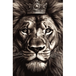 Bíblia Sagrada NVI Capa dura "Lion King Judah"