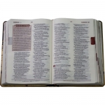 Bíblia de Estudo Plenitude para Jovens