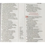 Bíblia de Estudo Scofield - Capa Mel