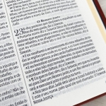 Bíblia King James 1611 - ampliada - letra gigante - capa ultra-fina - luxo castanho